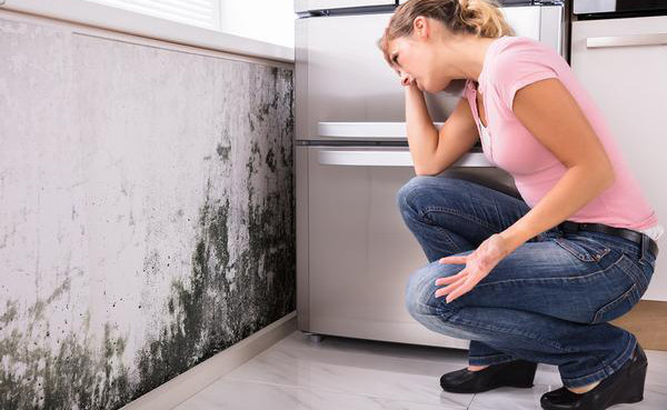 Mold Claims